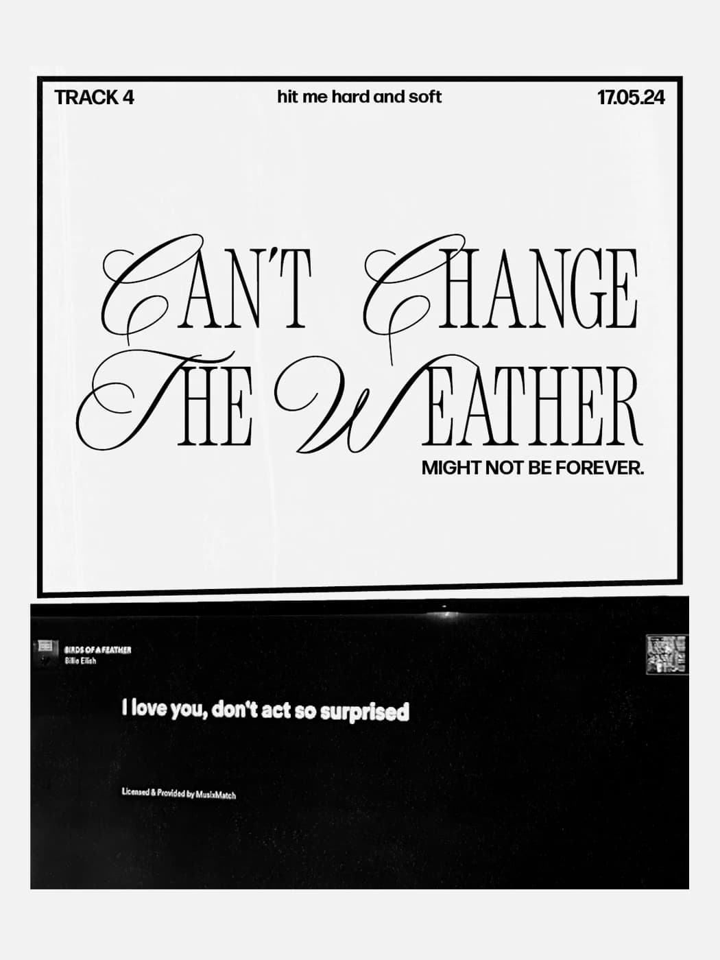 Hayley Beaumont - Image 1