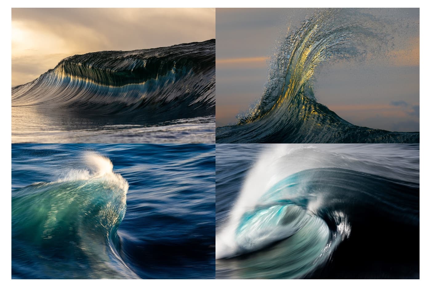 Lucas Gardner - Image 3