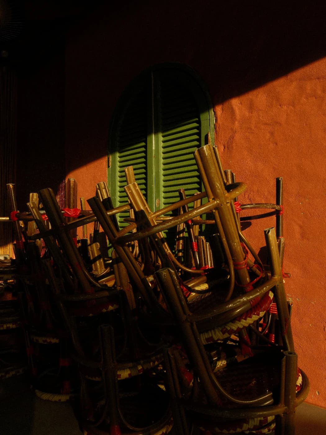 Seded Altansukh - Image 5